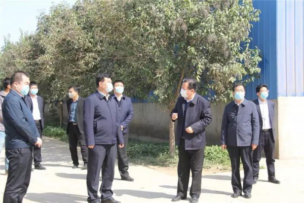 渭南市委书记魏建峰赴红星美羚调研指导工作
