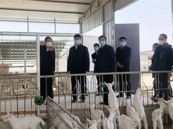 渭南市委书记魏建峰赴红星美羚调研指导工作