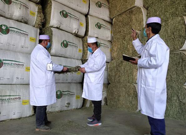 蒙牛疫情期间推行“提振信心、守护上游”的保障举措   鼓舞产业链战疫信心