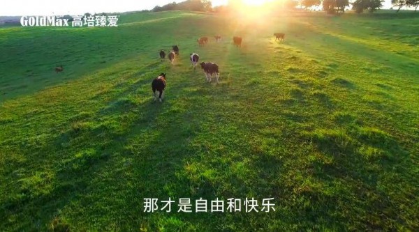 洞见母婴新需求  高培品牌营销出新加快进攻草饲奶粉市场
