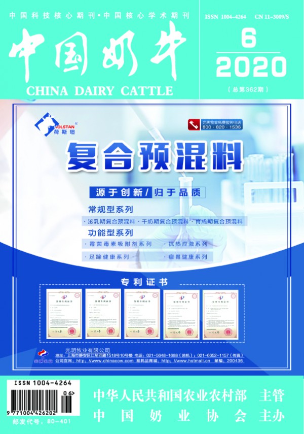 《中国奶牛》2020年6期内容抢“鲜”看