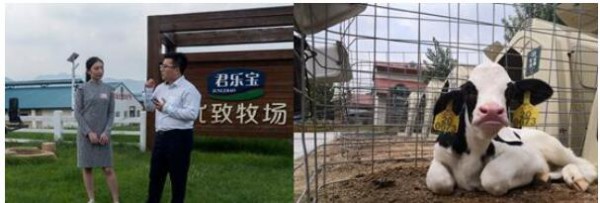 拼多多“母婴产品溯源行动”走进国民奶粉君乐宝工厂   40万人围观“一罐国产好奶粉诞生”