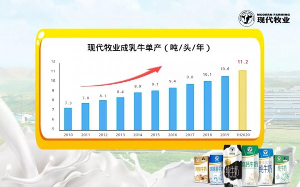 现代牧业发布中期业绩，溢利同比大增近500%！