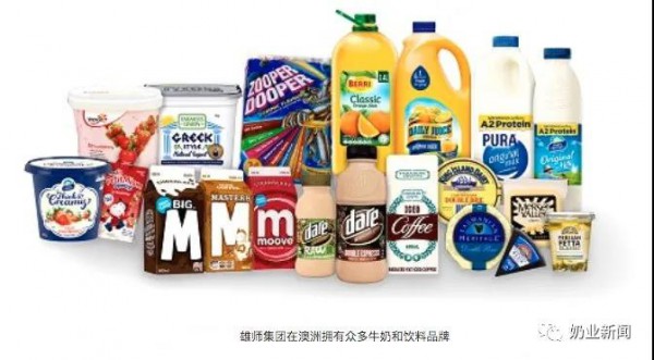 蒙牛终止收购雄狮乳业，你离澳洲好牛奶又远了一步