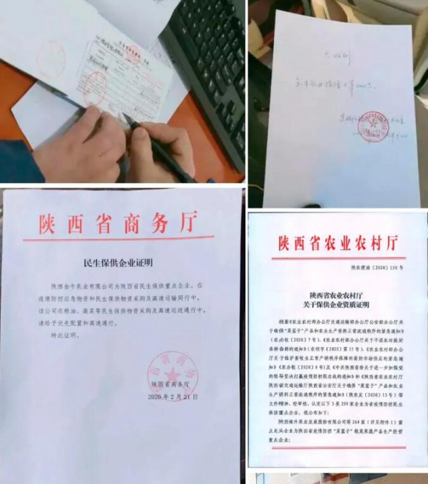 卡洛艾特丨回忆2020时间不辜负，展望2021未来可期