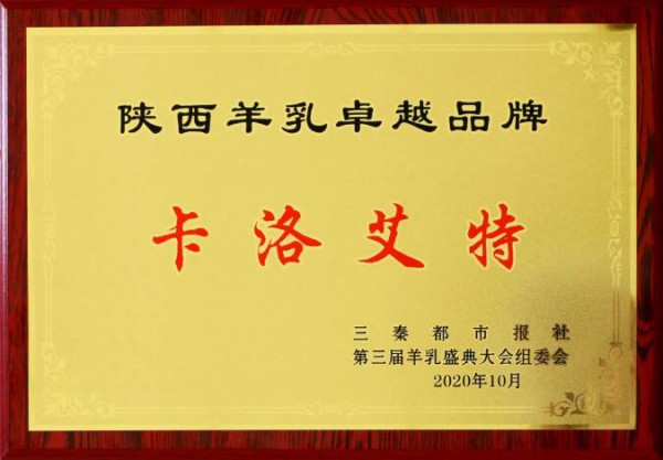 卡洛艾特丨回忆2020时间不辜负，展望2021未来可期
