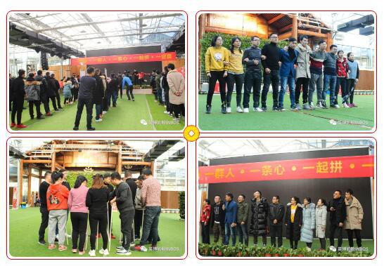 聚力创新 共赢未来-----英博奶粉2020年度总结暨2021年营销大会顺利召开！