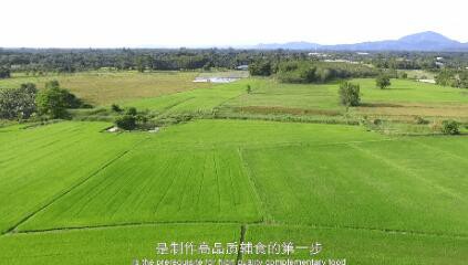 喜报 | 泰国茉莉香米2020年再获世界最好大米！
