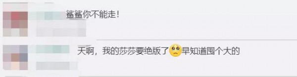 供应链告急！宜家网红玩具面临停产...