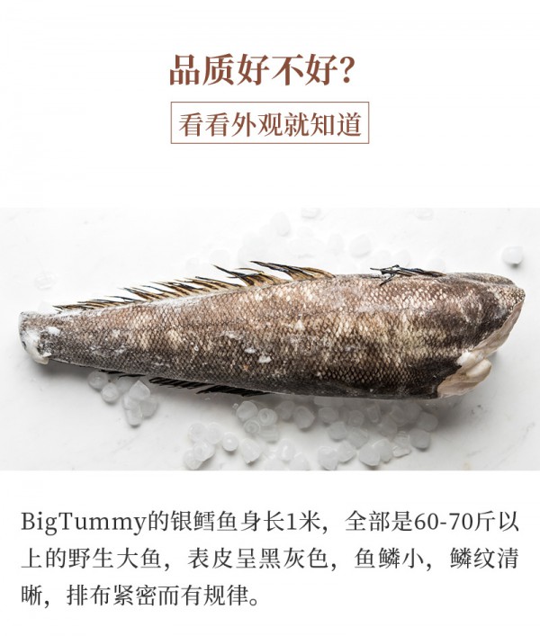 怎么吃才能帮助宝宝智力发育？ 肉小迪新西兰银鳕鱼富含多种脑部发育营养素