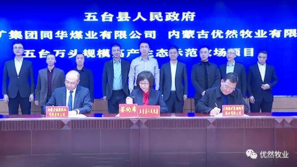 优然牧业最新事件|优然牧业万头规模高产生态示范牧场项目