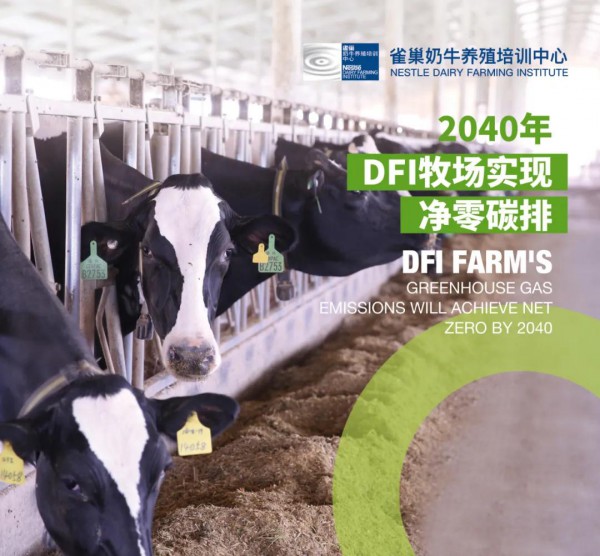 战略部署！雀巢发布的净零碳排路线图  致力于实现DFI碳中和牧场