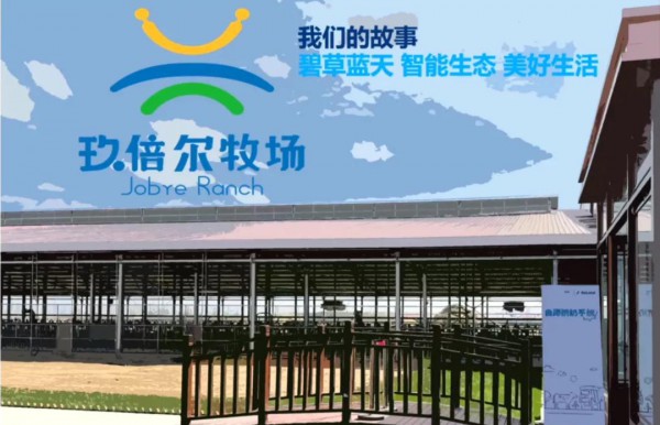 “机器人挤奶”——给牧场带来哪些“可能”？