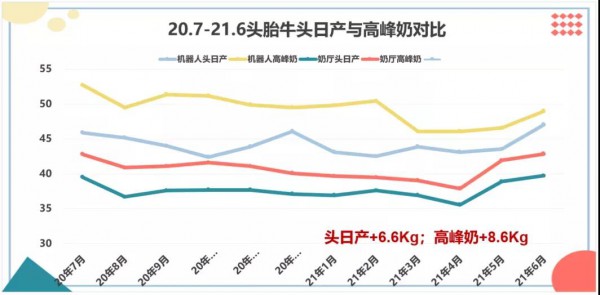 “机器人挤奶”——给牧场带来哪些“可能”？