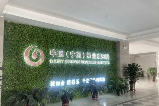 “十四五” 宁夏这样开局起步｜宁夏奶产业：集聚高质量“因子”的迸发之势