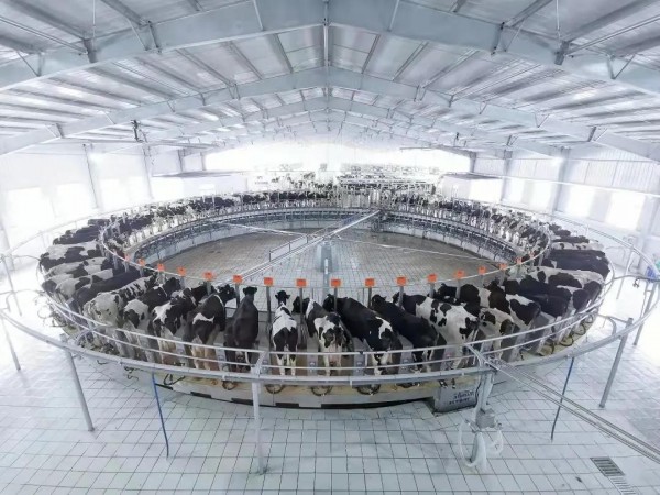 荣誉喜报 | 卫岗乳业董事长白元龙荣膺“为全面建成小康社会作贡献先进个人”称号