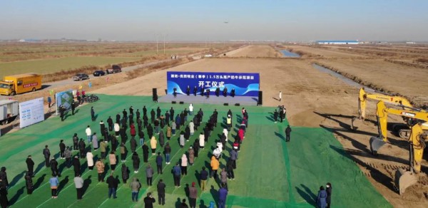 配套10万头奶牛牧场全面落地，伊利这一项目有了重大进展！