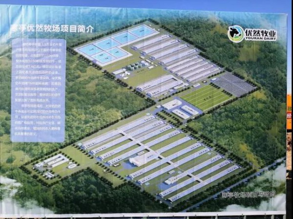 配套10万头奶牛牧场全面落地，伊利这一项目有了重大进展！