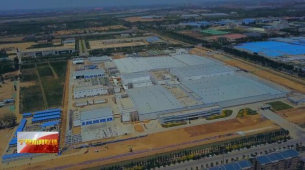 从追赶到超越！宁夏打造黄金奶源带 改写国内奶业版图