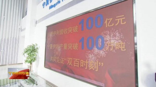 从追赶到超越！宁夏打造黄金奶源带 改写国内奶业版图