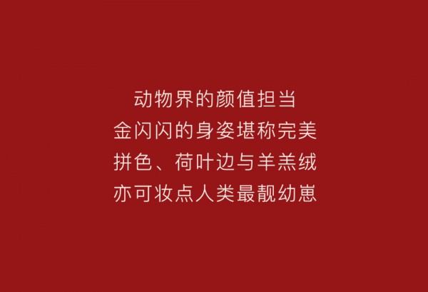 YeeHoO英氏新年装上市 预定幸「虎」心情