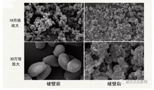 【椒兰全破壁膏方】技术革新，成就药食同源新未来