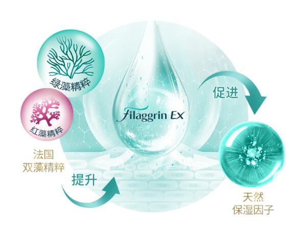 Pigeon贝亲海藻精粹婴儿洗发沐浴二合一    呵护宝宝肌肤屏障