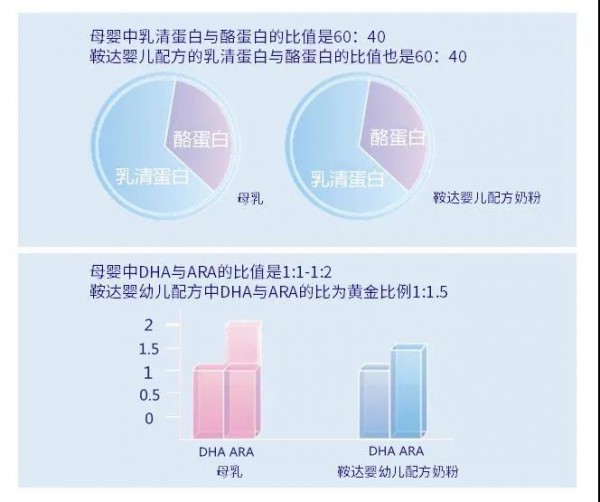 鞍达X女神节|致敬母爱，让我们“喂”爱前行！