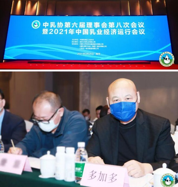 喜讯 | 多加多国际旗下考拉米奇荣获中乳协“质量金奖”，担当国货品质！