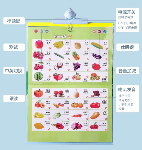 澳乐宝宝早教有声挂图   早教一本全搞定·宝宝越学越聪明