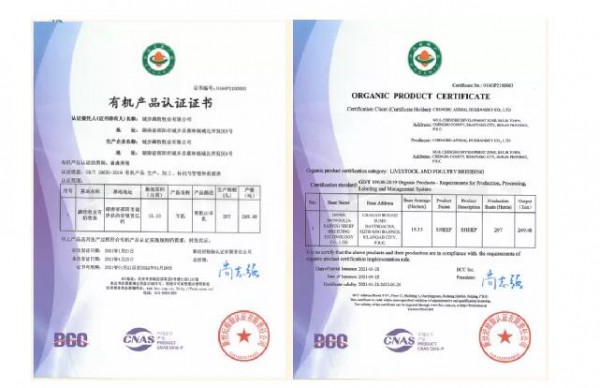 羴牧集团正式获得有机产品的认证证书   将全新推出有机羊奶粉