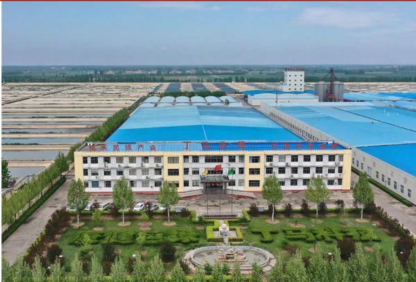 恭贺：山东丁马食品&全球婴童网携手合作 欢迎咨询鱼肠OEM代加工