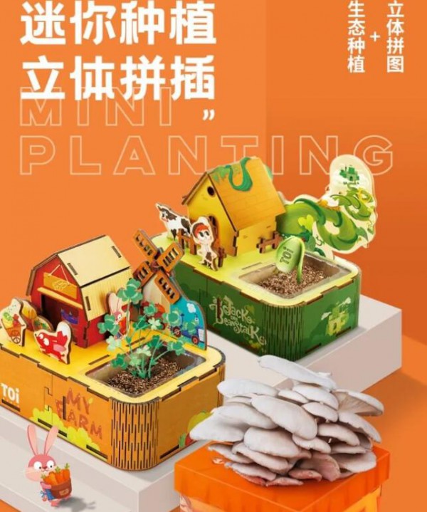 DIY玩具持续热销 打造爆款可以从这四个方向突破
