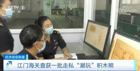 单个售价近9000元  “潮玩”积木熊遭爆炒 江门海关查获一批走私产品