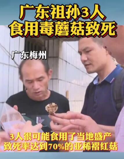 广东祖孙3人食用毒蘑菇致死   儿童食用野生菌中毒会有哪些症状