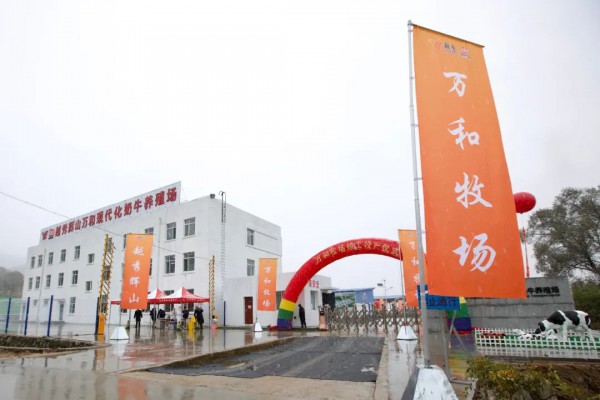 存栏2500头 越秀辉山万和牧场竣工投产