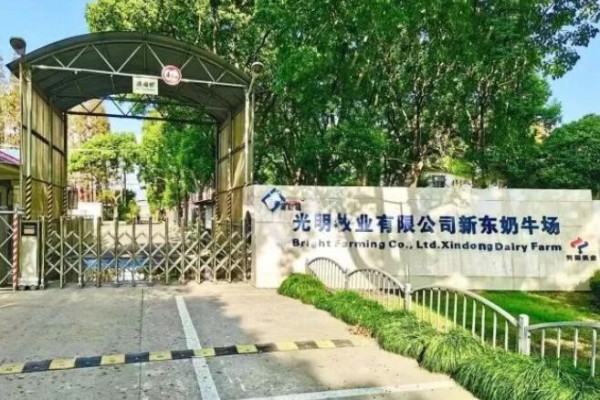 光明乳业：子公司光明牧业将出让今日健康乳业30％股权