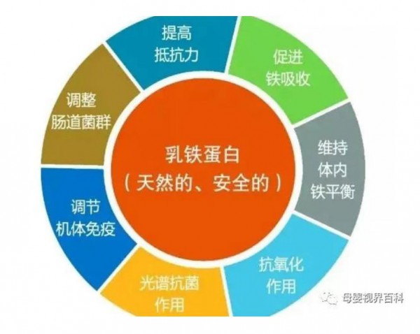 为什么宝妈一到冬天就给宝宝补乳铁蛋白，补了有什么用？