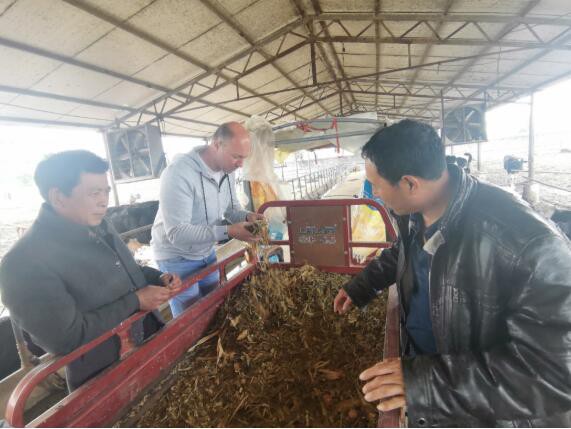 菲仕兰发起成立的这家中心，用荷兰经验助推中国奶业发展！
