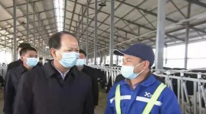 内蒙古自治区党委书记石泰峰调研优然牧业巴彦淖尔牧场