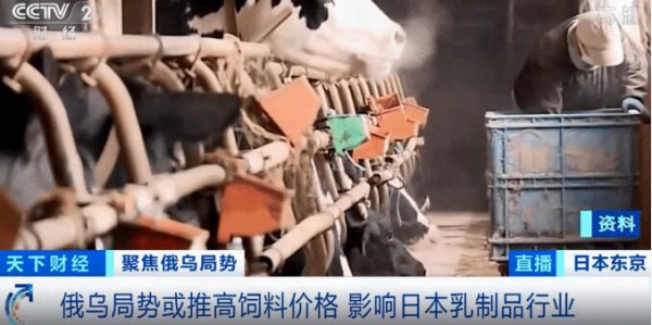 2022全球乳制品价格飙升  饲料成本、奶牛产量等影响颇深