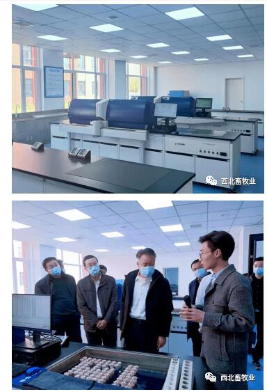 宁夏奶业科创中心建设取得初步成效