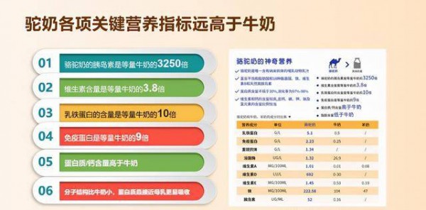 沙漠生金，头部乳企扎堆新疆驼乳市场，市场拉锯战开始？