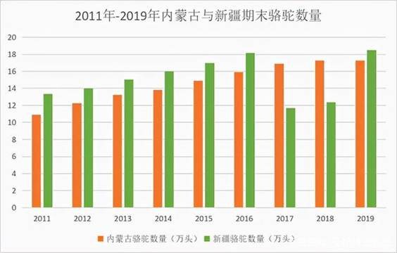 沙漠生金，头部乳企扎堆新疆驼乳市场，市场拉锯战开始？