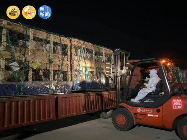 2500只新西兰进口羊跨国飞行“落户”陕西千阳