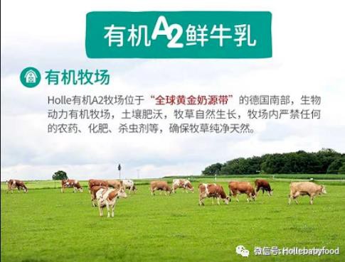 Holle有机A2婴幼儿配方奶粉至尊版强势回归！
