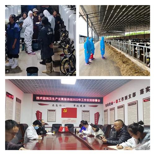 昆明市奶牛生产性能测定工作取得成效，将对昆明奶业发展起到推动作用