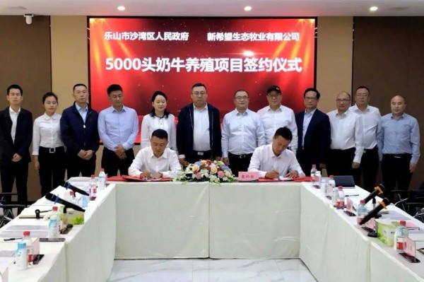 乐山市沙湾政府与新希望生态牧业举行签约仪式！投资3亿元！5000头奶牛养殖项目将落户