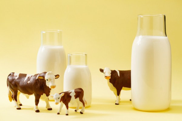 乳制品中含有哪些糖？分别有什么作用？   乳制品减糖如何进行？