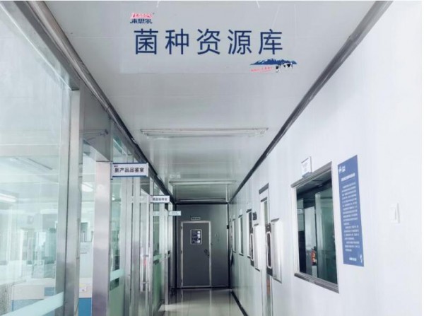 来思尔乳业“航天菌种”二飞冲天，探索高品质酸奶！